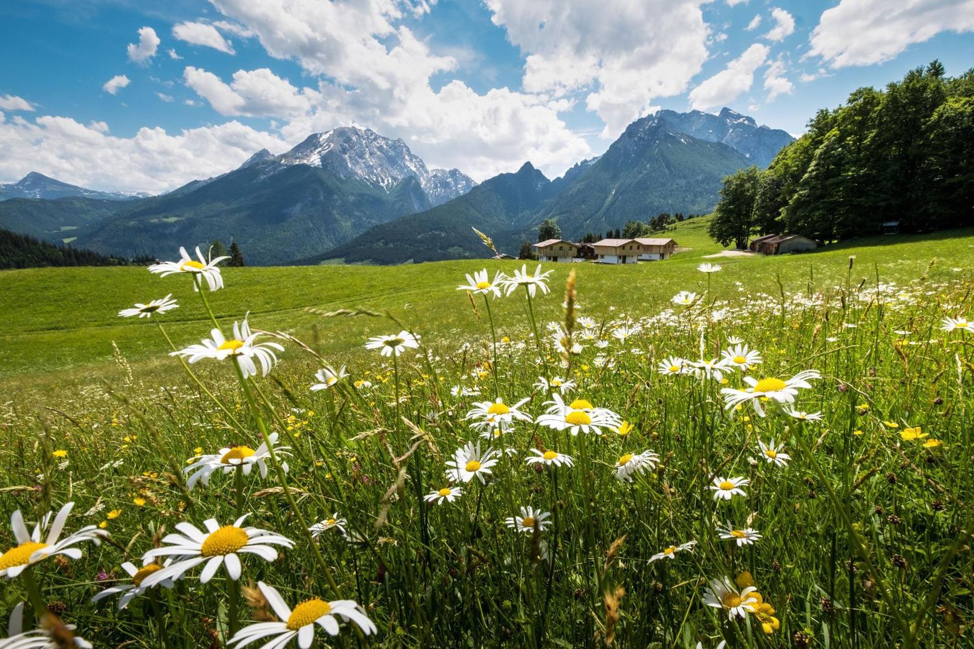 Ettlerlehen Chalets Ramsau bei Berchtesgaden Dış mekan fotoğraf